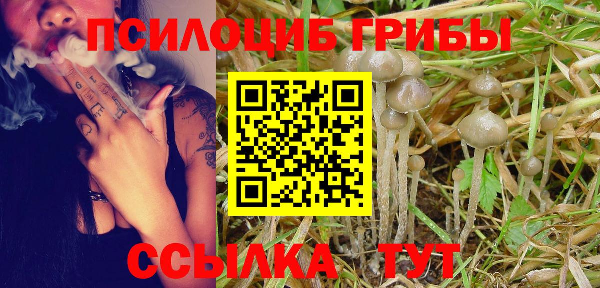 Псилоцибиновые грибы GOLDEN TEACHER  где можно купить   Черняховск  Галлюциногенные грибы ЛСД 