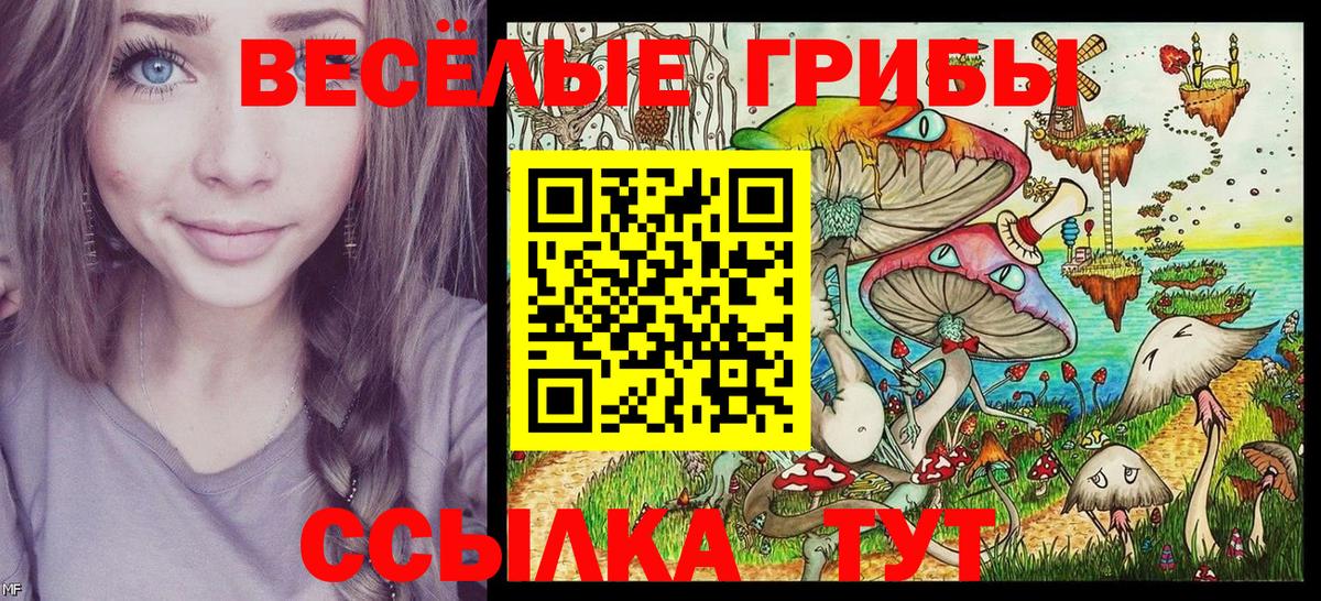 Псилоцибиновые грибы прущие грибы Черняховск