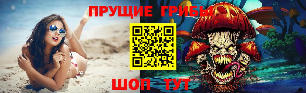 Галлюциногенные грибы мицелий Черняховск